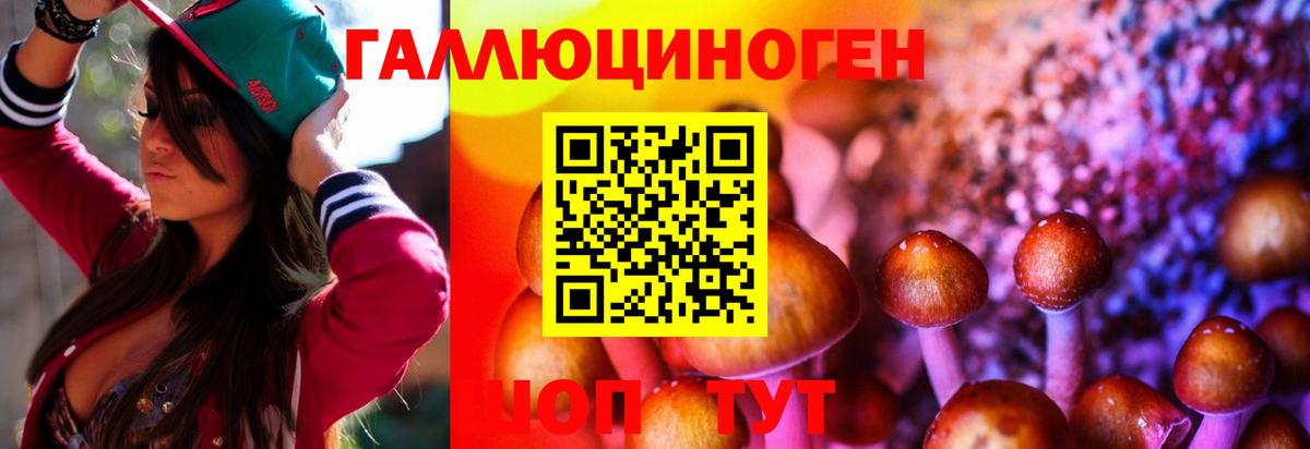 Псилоцибиновые грибы MAGIC MUSHROOMS  Вход с VPN  Кемерово 
